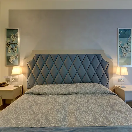 ホテル Parc Gritti 4*