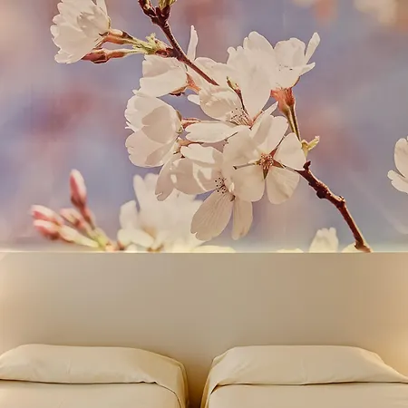 Ξενοδοχείο Parc Gritti Μπαρντολίνο